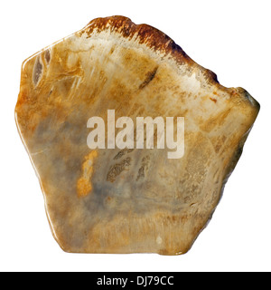 Macro picture of a Petrified Wood bead from Alaska for making jewelry - isolated on white Stock Photo