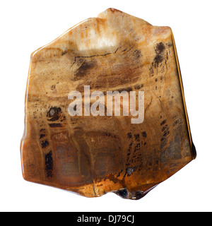Macro picture of a Petrified Wood bead from Alaska for making jewelry - isolated on white Stock Photo