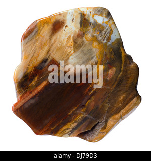 Macro picture of a Petrified Wood bead from Alaska for making jewelry - isolated on white Stock Photo