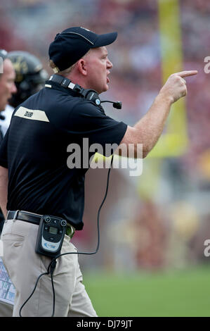 Tallahassee, Florida, USA. 23rd Nov, 2013. Idaho Vandals head coach Paul Petrino shows is displeasure of a call during the NCAA football game between the Idaho Vandals and the Florida State Seminoles at Doak S. Campbell Stadium in Tallahassee, Florida. Credit:  csm/Alamy Live News Stock Photo