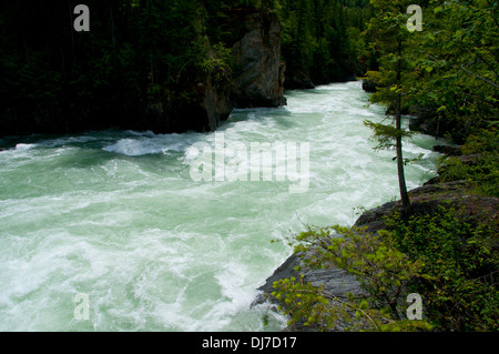 Fraser River, Mt Robson Provincial Park, British Columbia, Canada Stock Photo