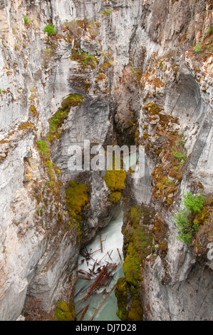 Marble Canyon, Kootenay National Park, British Columbia, Canada Stock Photo