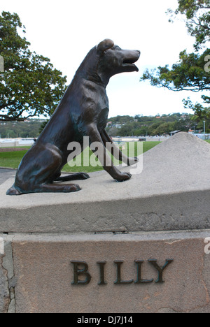 does balmoral beach allow dogs