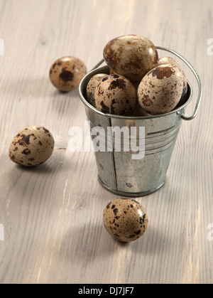 Quail eggs in a small tin bucket on a table Stock Photo