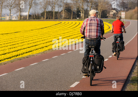 Mature couple cycling by flower field, Lisse, Zuid Holland, Netherlands Stock Photo