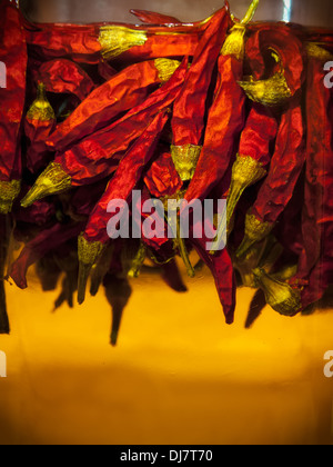 Hot chili peppers are floating in the bottle with olive oil. Stock Photo