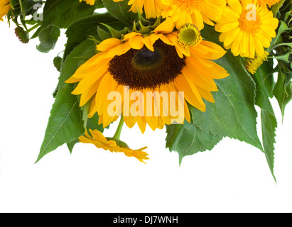 sunflowers  and marigold flowers Stock Photo