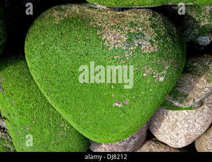 A heart shaped rock covered in moss