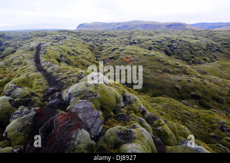 Trail through ancient lava field covered in moss, southern Iceland Stock Photo