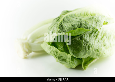 Romain Lettuce on a white background Stock Photo