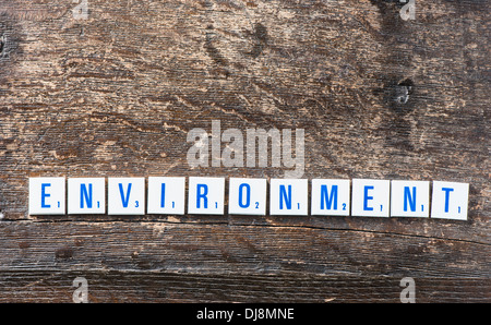 Letters lying on wood spelling the word Environment Stock Photo