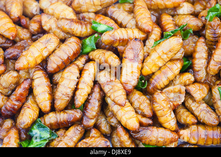 Stir fried baby silk worms garnished with scallion leaves, Thailand Stock Photo