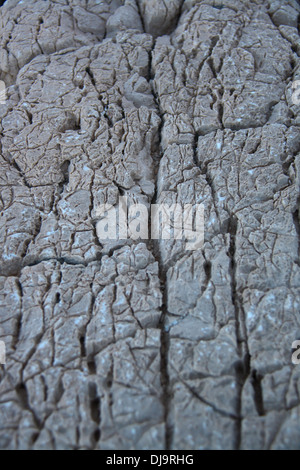 cracked rocks of monuments in nemrut adiyaman Stock Photo