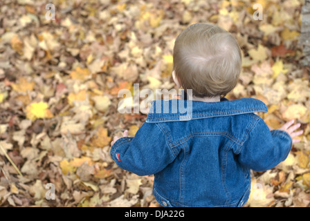 A toddler boy in a jean jacket steps carefully into fallen autumn leaves.