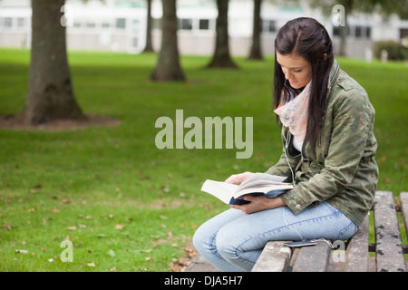 Focused brunette student sitting on bench reading Stock Photo