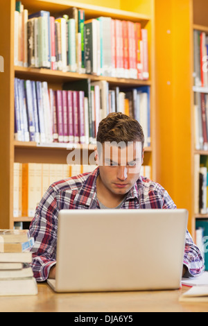 Handsome focused student using laptop Stock Photo