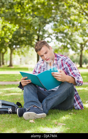 Handsome focused student sitting on grass studying Stock Photo