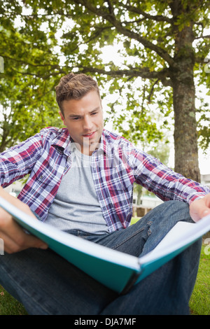Handsome serious student sitting on grass studying Stock Photo