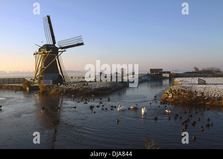 Drainage mill ''Hope springs eternal'' in  typically Dutch flat landscape in winter, Voorhout, South Holland, The Netherlands Stock Photo