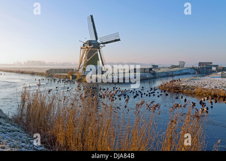 Drainage mill ''Hope springs eternal'' in  typically Dutch flat landscape in winter, Voorhout, South Holland, The Netherlands Stock Photo