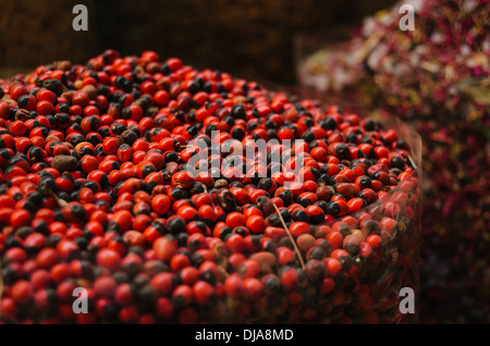 Exotic spices and herbs lined up for sale at Deira Spice Market. Dubai, United Arab Emirates. Stock Photo