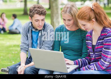 College students using laptop in park Stock Photo
