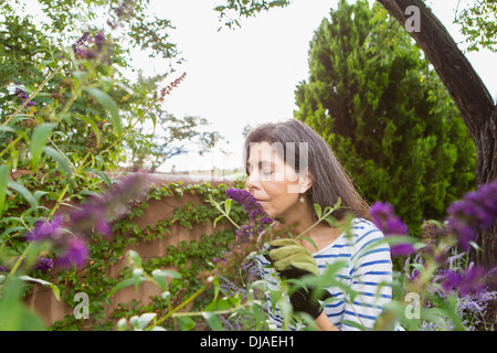 Hispanic woman smelling flowers in garden Stock Photo