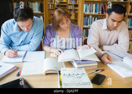 Adult students studying together in the library Stock Photo