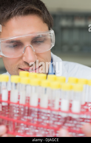 Male researcher  looking at test tubes in the lab Stock Photo