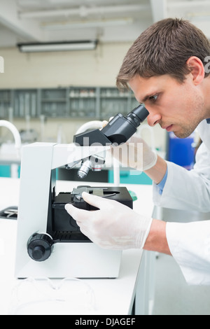 Scientific researcher using microscope in the laboratory Stock Photo