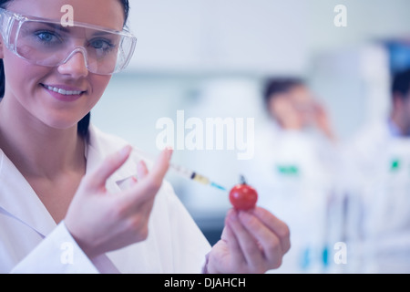 Close up of scientific researcher injecting tomato at lab Stock Photo