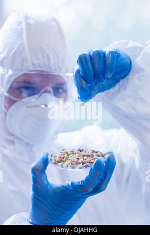 Scientist in protective suit with sprouts in laboratory Stock Photo