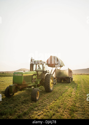 Caucasian farmer driving tractor in crop field Stock Photo