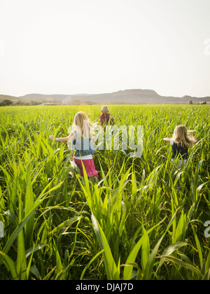 Children playing in corn field Stock Photo