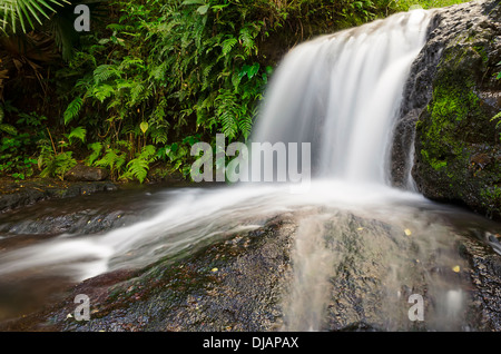 Small natural waterfall in a tropical forest, Philippines Stock Photo
