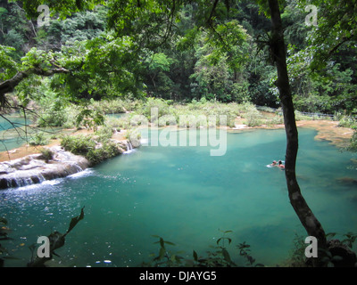 El Rosario National Park, El Petén, near Sayaxché Guatemala Stock Photo