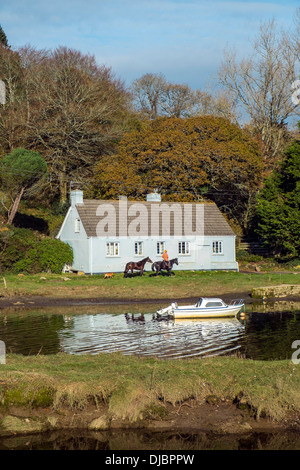 Horses and rider passing a riverside cottage. Aveton Gifford, South Hams, Devon. UK Stock Photo