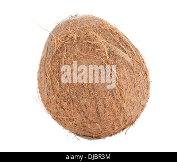 Whole coconut isolated on white background Stock Photo