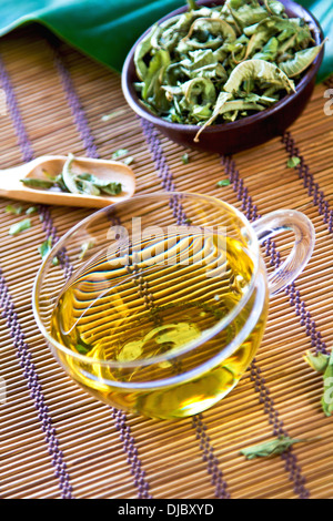 Verveine Tea also known as Lemon Verbena Stock Photo