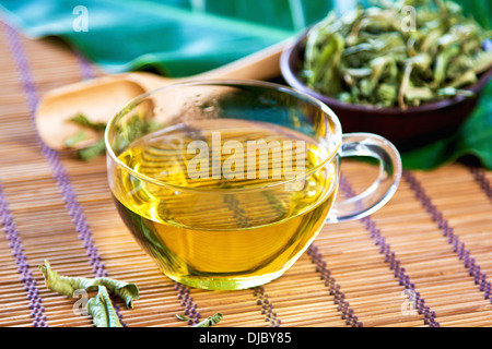 Verveine Tea also known as Lemon Verbena Stock Photo