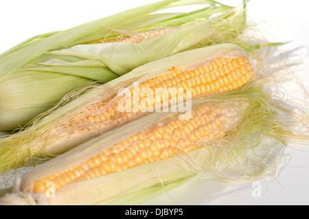 SWEET CORN CORN ON THE COB Stock Photo
