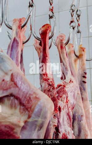 Beef carcasses rest in hooks hanging from the ceiling at Deira's Meat Market. Dubai, UAE. Stock Photo