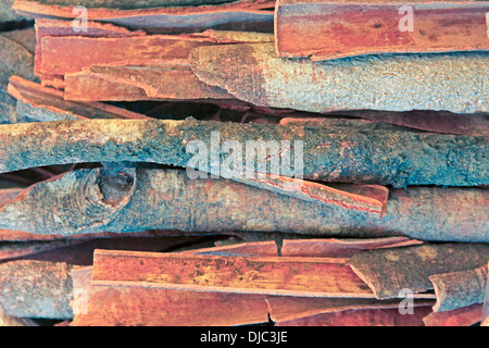 True cinnamon comes from the inner bark of a tree called Cinnamomum verum Stock Photo