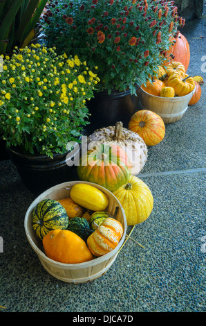 Fall harvest display, Butchart Gardens, Stock Photo