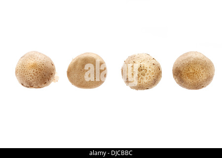 Whole raw Shitake Mushrooms isolated on white background Stock Photo