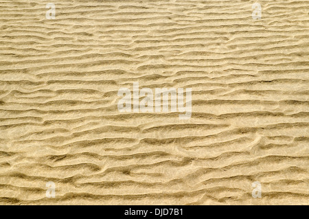 Great Britain, Wales, beach, ripple marks Stock Photo