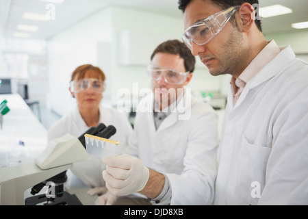 Team of serious scientists working together Stock Photo
