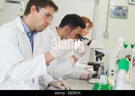 Row of young scientists working in laboratory Stock Photo