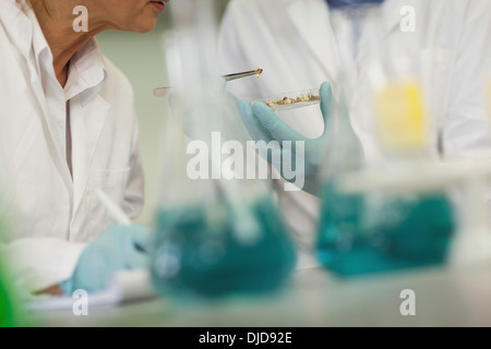 Mid section of two scientists working in a laboratory Stock Photo