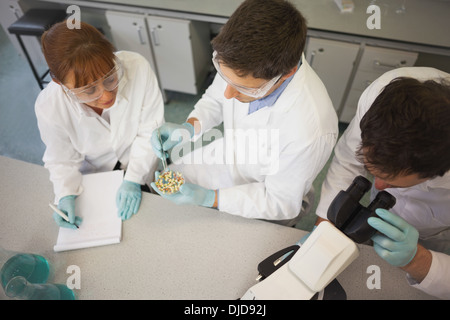 Three young scientists working in a laboratory Stock Photo